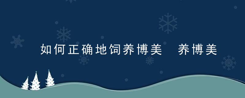 如何正确地饲养博美 养博美的方法